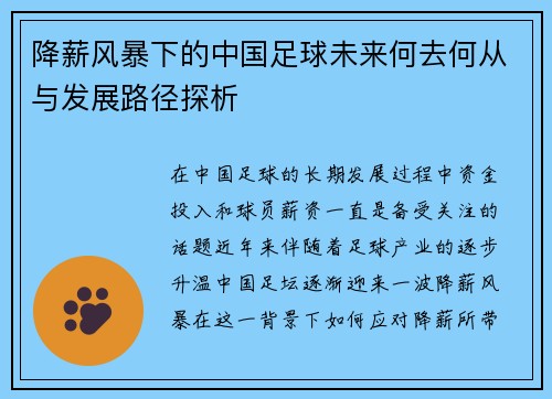 降薪风暴下的中国足球未来何去何从与发展路径探析